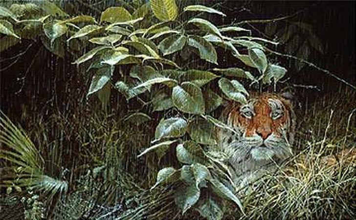 John Seerey - Lester Limited Edition Print:"The Rains-Tiger"