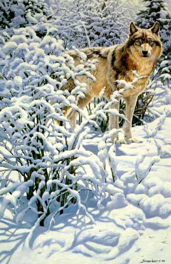 John Seerey-Lester Limited Edition Print: "Winter Spirit- Gray Wolf"