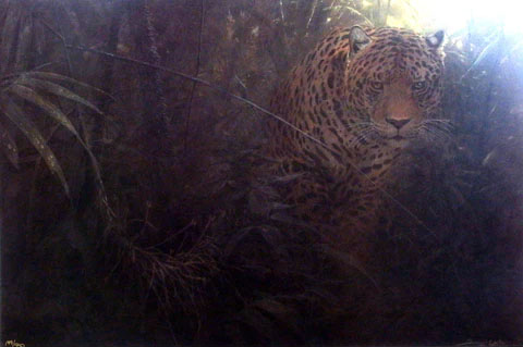 John Seerey-Lester Print-Signed and Numbered:"Forest Glow"