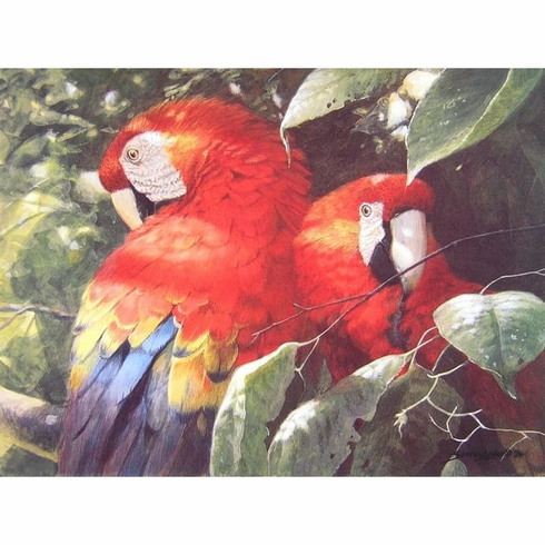 John Seerey-Lester Signed and Numbered Limited Edition  Lithograph: "Scarlet Macaw Pair"