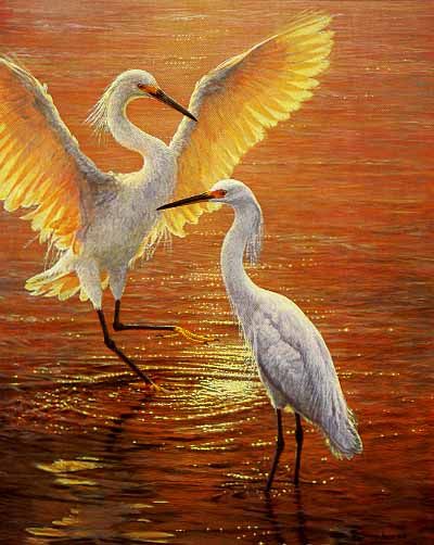 John Seerey-Lester Signed by the Artist Limited Edition Paper Lithograph:"Evening Duet - Snowy Egrets"