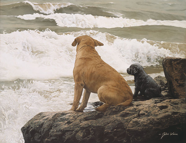 John Weiss Hand Signed and Numbered Anniversary Gallery Wrap Canvas Giclee:"No Swimming Lessons Today"