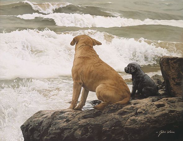 John Weiss Hand Signed and Numbered Anniversary Gallery Wrap Canvas Giclee:"No Swimming Lessons Today"