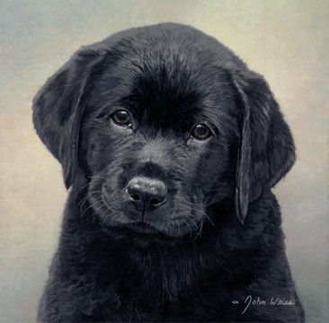 John Weiss Hand Signed and Numbered Limited Edition Print:"Heart and Soul"