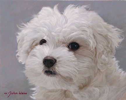 John Weiss Artist Signed Limited Edition Canvas:"Frosty"