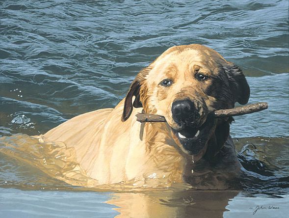 John Weiss Handsigned and Numbered Limited Edition Fine Art Gicl&eacute;e Canvas:"Does It Get any Better Than This? (Yellow Lab)"