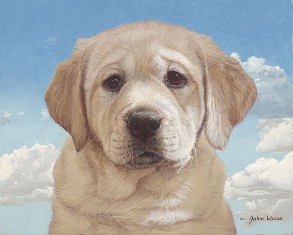 John Weiss Handsigned and Numbered Limited Edition Gicl&eacute;e Canvas:"Sunny Day"