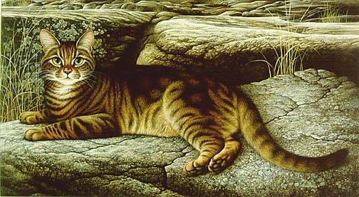 Braldt Bralds Artist Signed Limited Edition Print:"Rock Star"