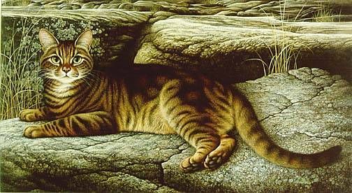 Braldt Bralds Artist Signed Limited Edition Print:"Rock Star"