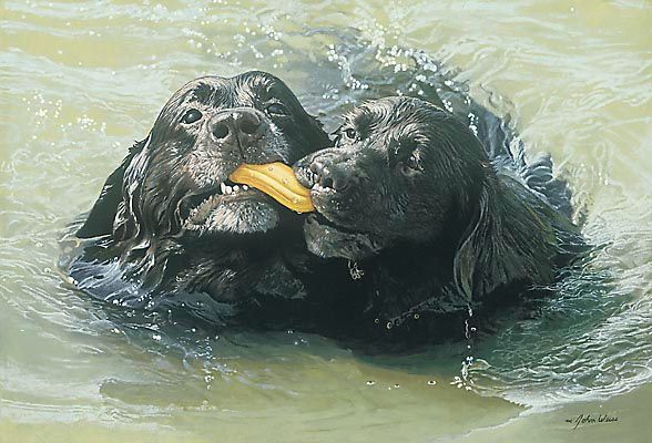 John Weiss Limited Edition Print:"Retrievers"