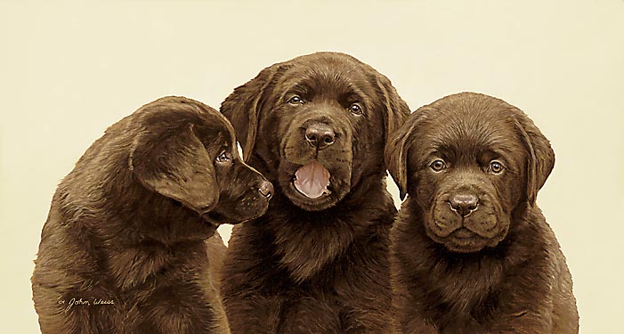 John Weiss Limited Edition Print:"Threes Company"