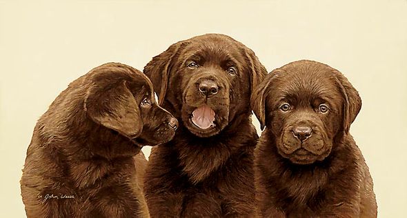 John Weiss Limited Edition Print:"Threes Company"