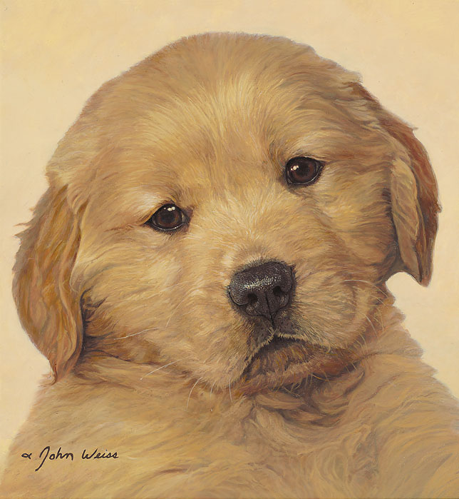 John Weiss Open Edition Fine Art Canvas Giclée"Last of the Litter" Pets