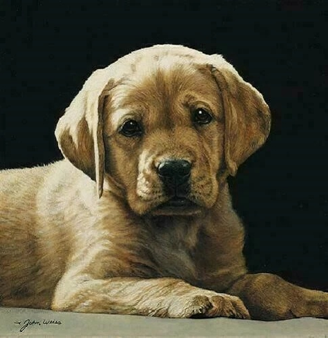 John Weiss Signed and Numbered Limited Edition Lithograph: "Pick Of The Litter" John Weiss Signed and Numbered Limited Edition Lithograph: "Pick Of The Litter"