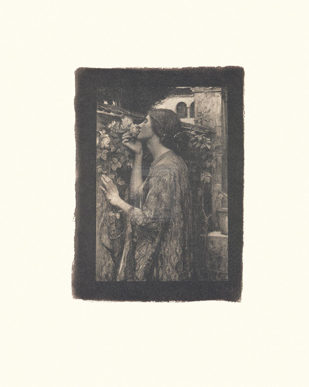 John William Waterhouse Hand Numbered Limited Edition Print on Paper :"The Soul Of The Rose [Kalinograph]"