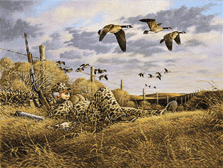 John Wilson Hand Signed Open Edition Print:"You Snooze you Loose - Canadian Geese"