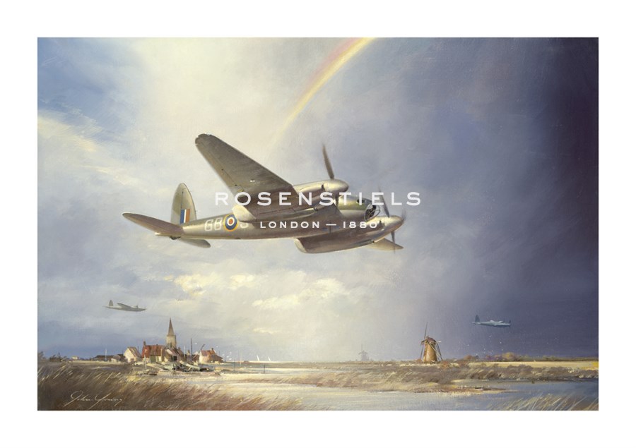 John Young Hand Numbered Limited Edition Print on Paper :"Low-flying Mosquito"