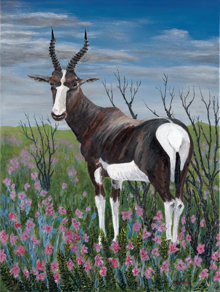 Jon Ciarletta Limited Edition Museum Quality Gicl&eacute;e: "Bontebok"