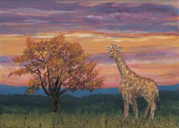 Jon Ciarletta Limited Edition Museum Quality Gicl&eacute;e: "Giraffe At Dusk"