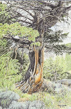 Jon Crane Hand Signed and Numbered Limited Edition Giclee Print on Paper:"If I Were a Tree"