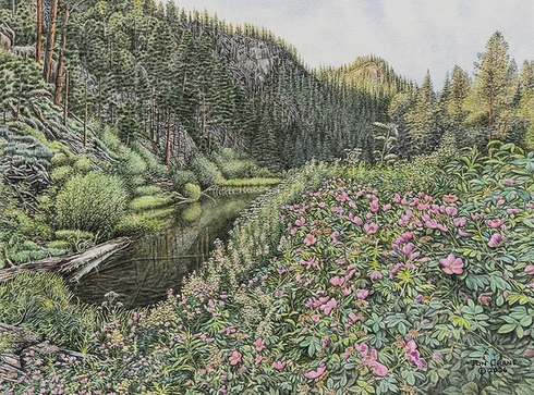Jon Crane Hand-signed Limited Edition Artist Proof Print:"Wild Ramblings" Jon Crane Hand-signed Limited Edition Artist Proof Print:"Wild Ramblings"