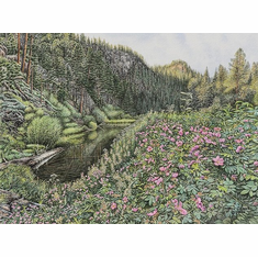 Jon Crane Hand-signed Limited Edition Artist Proof Print:"Wild Ramblings"  
