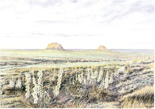 Jon Crane Handsigned & Numbered Limited Edition Giclee on Paper:"Wide Open Spaces"