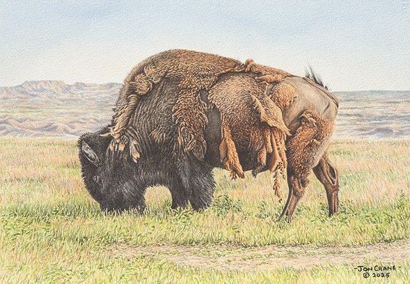 Jon Crane Signed and Numbered Artist Proof Giclee on Paper:"Sacred Circle of Life"