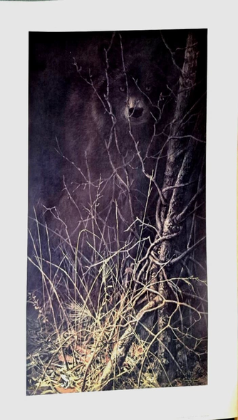 Jon Seerey Lester Signed and Numbered Limited Edition Paper: ""