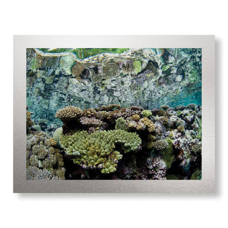 Jones and Shimlock Limited Edition Ready to Hang Giclee on Brushed Aluminum: "Reef Crest Reflection"
