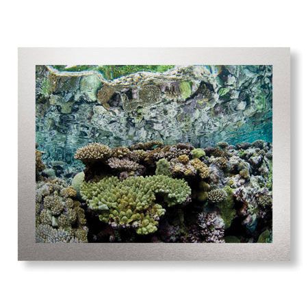 Jones and Shimlock Limited Edition Ready to Hang Giclee on Brushed Aluminum: "Reef Crest Reflection"