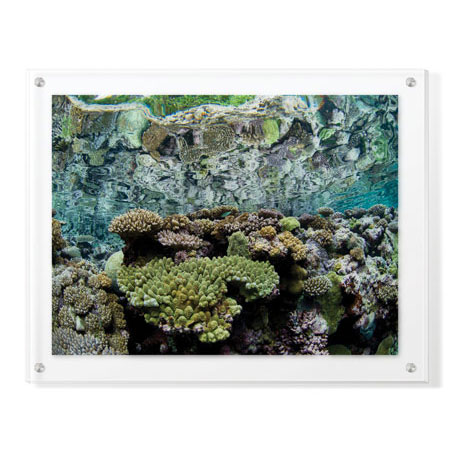 Jones and Shimlock Limited Edition Ready to Hang Giclee on Clear Acrylic: "Reef Crest Reflection"