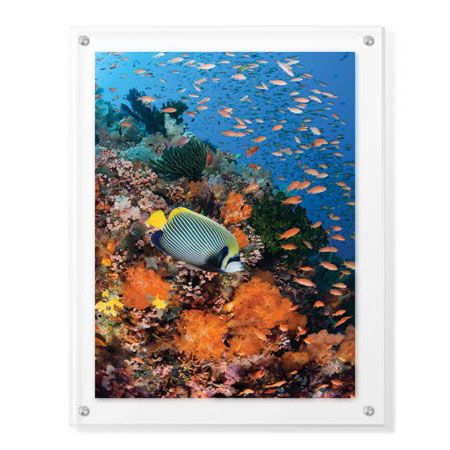 Jones and Shimlock Limited Edition Ready to Hang Giclee on Clear Acrylic: "Reef Scenic 8"
