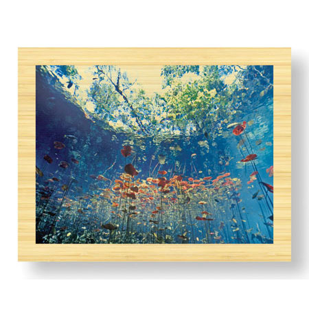 Jones and Shimlock Limited Edition Ready to Hang Giclee on Sustainable Bamboo: "Lilly Pads"