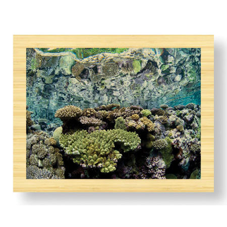 Jones and Shimlock Limited Edition Ready to Hang Giclee on Sustainable Bamboo: "Reef Crest Reflection"