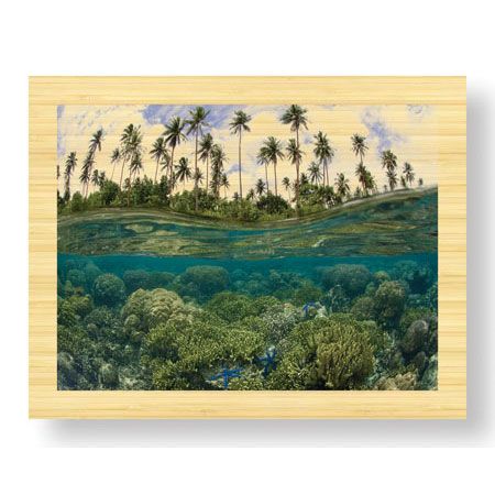 Jones and Shimlock Limited Edition Ready to Hang Giclee on Sustainable Bamboo: "Reef Scenic Split Image"
