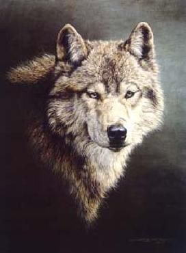 JORGE MAYOL 18X24 Secondary Market Art: "PATHFINDER"
