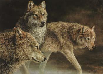 JORGE MAYOL 27X19 Secondary Market Art: "DISTANT CALL WOLVES"