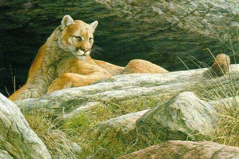 Jorge Mayol Signed and Numbered Limited Edition Lithograph: "Cougars Ledge" Jorge Mayol Signed and Numbered Limited Edition Lithograph: "Cougars Ledge"