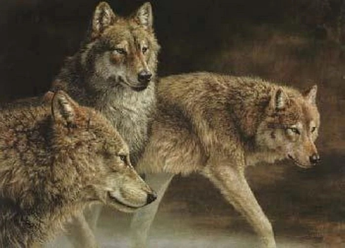 Jorge Mayol Signed and Numbered Limited Edition Lithograph: "Distant Call Wolves"