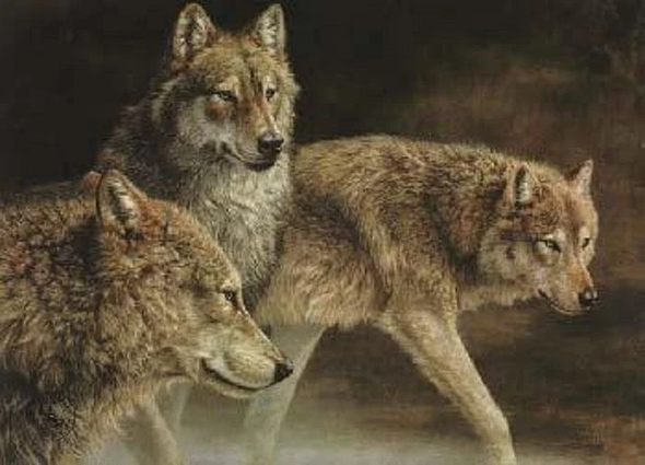 Jorge Mayol Signed and Numbered Limited Edition Lithograph: "Distant Call Wolves"