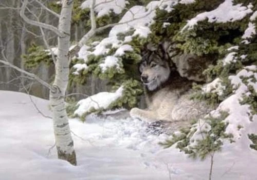 Jorge Mayol Signed and Numbered Limited Edition Lithograph: "Edge Of The Woods"