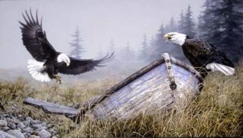 Jorge Mayol Signed and Numbered Limited Edition Lithograph: "Lost Coast Bald Eagles"