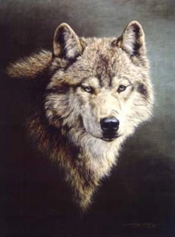 Jorge Mayol Signed and Numbered Limited Edition Lithograph: "Pathfinder"