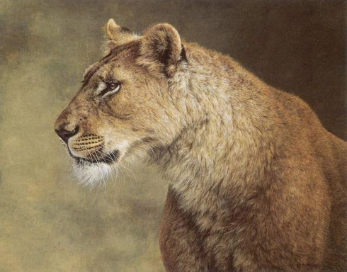 Jorge Mayol Signed and Numbered Limited Edition Lithograph: "Portrait Of A Lioness" Jorge Mayol Signed and Numbered Limited Edition Lithograph: "Portrait Of A Lioness"