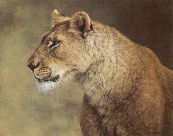 Jorge Mayol Signed and Numbered Limited Edition Lithograph: "Portrait Of A Lioness"