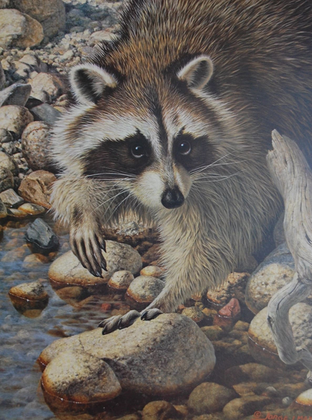 Jorge Mayol Signed and Numbered Limited Edition  Lithograph: "Summer Evening Raccoon"