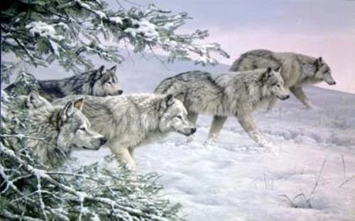 Jorge Mayol Signed and Numbered Limited Edition Lithograph: "Winters Moon"