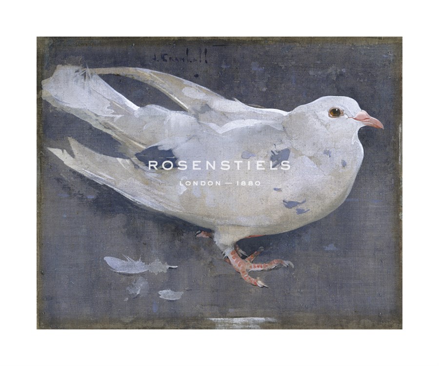 Joseph Crawhall Hand Numbered Limited Edition Print on Paper :"The Pigeon"