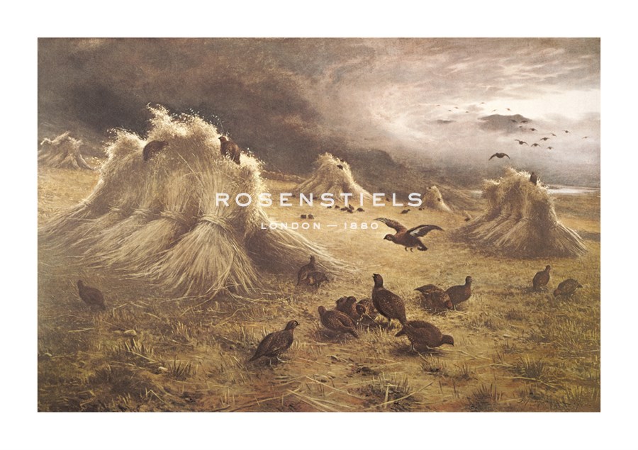 Joseph Farquharson Hand Numbered Limited Edition Print on Paper :"Highland Raiders (The Grouse At Home)"